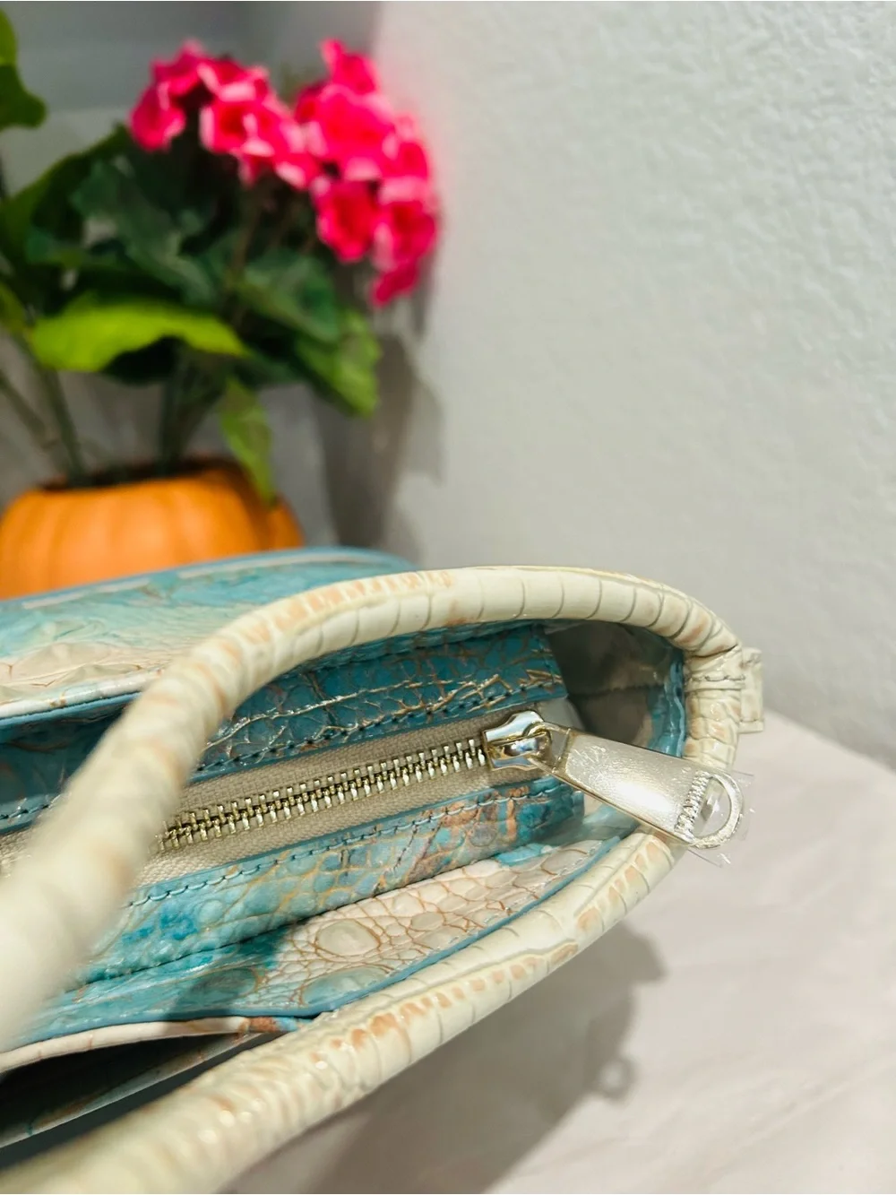 Brahmin Serendipity Schulz Small Elaine with Tassel